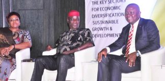 Transcorp Hotels MD Laments Neglect Of Tourism Sector Transcorp Hotels MD Laments Neglect Of Tourism Sector- marketingspace.com.ng