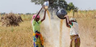 560,000 Young Nigerians To Secure Work Through Babban Gona, Mastercard Foundation Partnership-marketingspace.com.ng