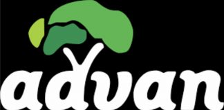 ADVAN Urges ARCON To Revisit Ban On Foreign Models, Warns Against Meddlesomeness In Hayat Kimya, Mainsail Media Case-marketingspace.com.ng