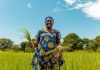 Nestlé Partners With Africa Food Prize To Strengthen Food Security And Climate Change Resilience Nestlé Partners With Africa Food Prize To Strengthen Food Security And Climate Change Resilience-marketingspace.com.ng