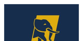 FirstBank Elephant Girls Crowned Zone 3 Champions, Qualify For WBLA Final Round -marketingspace.com.ng