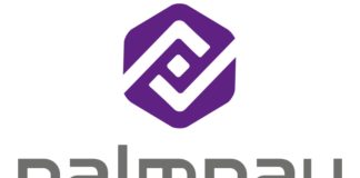 Palmpay Celebrates Users In Purple December Campaign -marketingspace.com.ng