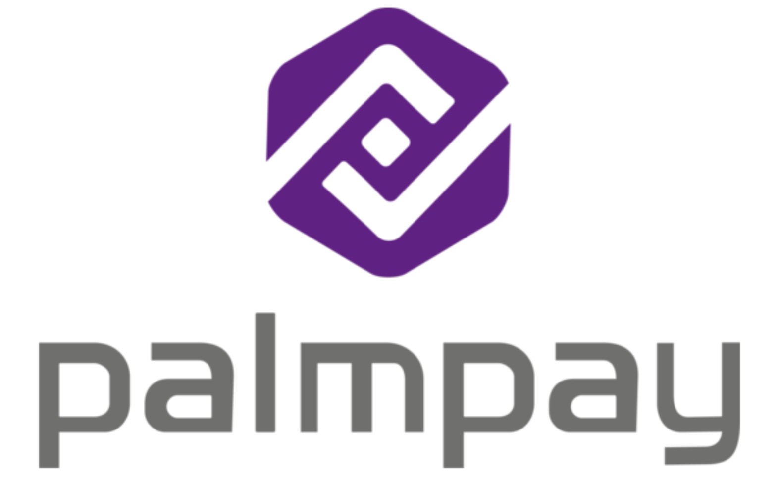 Palmpay Celebrates Users In Purple December Campaign -marketingspace.com.ng