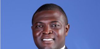 Olusanya Adesanya Moves From Guinness To FrieslandCampina To Boost Sales Credentials -marketingspace.com.ng