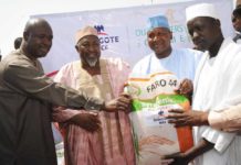 Dangote Sets to Introduce Rice into Nigerian Market Dangote Sets to Introduce Rice into the Nigerian Market -marketingspace.com.ng