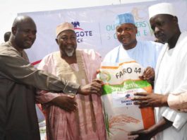 Dangote Sets to Introduce Rice into the Nigerian Market -marketingspace.com.ng