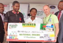 Morning Fresh Fulfills Kitchen Makeover Promo Promise to Consumers Morning Fresh Fulfills Kitchen Makeover Promo Promise to Consumers - marketingspace.com.ng