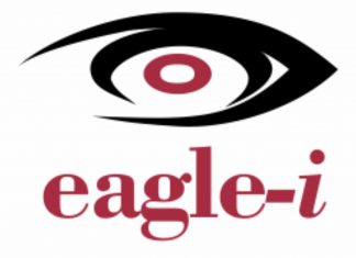 Eagle-i Introduces Alternative HD CCTV Cameras Into Nigerian Market-marketingspace.com.ng