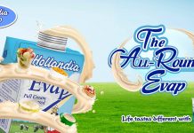 Hollandia Evap Satisfies Consumers’ Need For An All-Rounder Milk Hollandia Evap Satisfies Consumers’ Need For An All-Rounder Milk-marketingspace.com.ng