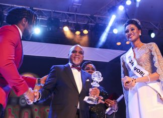 Troyka Chairman, Shobanjo Bags Silverbird Extraordinary Business Achievement Awards-marktingspace.com.ng
