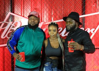 Budweiser’s Viewing Parties-A Fun And Exciting Experience Budweiser’s Viewing Parties-A Fun And Exciting Experience-marketingspace.com.ng