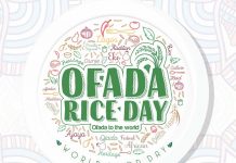 OfadaBoy, LASG, Malta Guinness Set To Host Ofada Rice Festival On October 13 OfadaBoy, LASG, Malta Guinness Set to hostOfada Rice Festival on October 13-marketingspace.com.ng