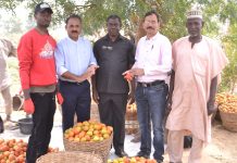 Olam Nigeria’s Pilot Farming Project To Boost Nigeria’s Tomato Value Chain Olam Nigeria’s Pilot Farming Project To Boost Nigeria’s Tomato Value Chain-marketingspace.com.ng
