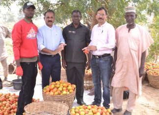 Olam Nigeria’s Pilot Farming Project To Boost Nigeria’s Tomato Value Chain Olam Nigeria’s Pilot Farming Project To Boost Nigeria’s Tomato Value Chain-marketingspace.com.ng