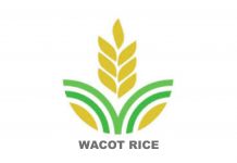 USAID Partners WACOT Rice On N5b Deal To Boost Rice Production In Kebbi State USAID Partners WACOT Rice On N5b Deal To Boost Rice Production In Kebbi State-marketingspace.com.ng