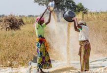 560,000 Young Nigerians To Secure Work Through Babban Gona, Mastercard Foundation Partnership 560,000 Young Nigerians To Secure Work Through Babban Gona, Mastercard Foundation Partnership-marketingspace.com.ng