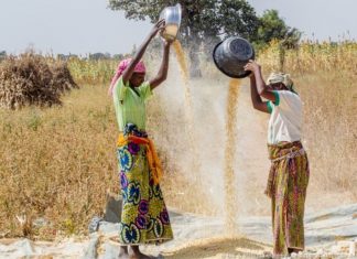 560,000 Young Nigerians To Secure Work Through Babban Gona, Mastercard Foundation Partnership-marketingspace.com.ng