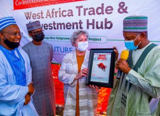 WACOT Rice To Create 60,000 Jobs Through Argungu Project-marketingspace.com.ng