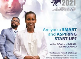 DLM Capital Group Launches First Pegasus Fintech Challenge For Nigerian Tech Innovators-marketingspace.com.ng