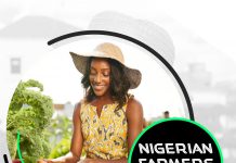 Nigerian Farmers Radio To Focus On Improving Access To Credit For Farming Nigerian Farmers Radio To Focus On Improving Access To Credit For Farming-marketingspace.com.ng