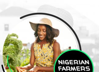 Nigerian Farmers Radio To Focus On Improving Access To Credit For Farming Nigerian Farmers Radio To Focus On Improving Access To Credit For Farming-marketingspace.com.ng