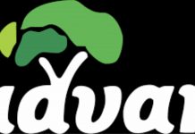 ADVAN Urges ARCON To Revisit Ban On Foreign Models, Warns Against Meddlesomeness In Hayat Kimya, Mainsail Media Case ADVAN Urges ARCON To Revisit Ban On Foreign Models, Warns Against Meddlesomeness In Hayat Kimya, Mainsail Media Case-marketingspace.com.ng