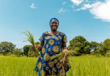 Nestlé Partners With Africa Food Prize To Strengthen Food Security And Climate Change Resilience-marketingspace.com.ng