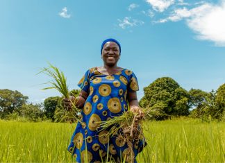 Nestlé Partners With Africa Food Prize To Strengthen Food Security And Climate Change Resilience Nestlé Partners With Africa Food Prize To Strengthen Food Security And Climate Change Resilience-marketingspace.com.ng