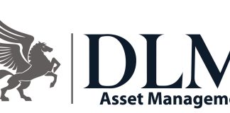 DLM Asset Management Set To Host Webinar To Discuss Maintaining Financial Stability In Times Of Economic Distress-marketingspace.com.ng