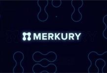 Inside Merkury: How dentsu’s Groundbreaking Identity Platform Is Transforming African Marketing Inside Merkury: How dentsu’s Groundbreaking Identity Platform Is Transforming African Marketing-marketingspace.com.ng