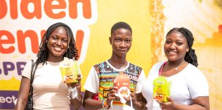 Consumers experience 'The Party of The Year' at Lagos 2026 edition of Golden Penny Food and Soup Festival -marketingspace.com