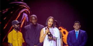 Guinness Nigeria Makes Historic AMVCA Debut With Multi-Brand Sponsorship -marketingspace.com.ng